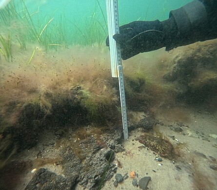 Unterwasseraufnahme einer Messung der Schichtstärke