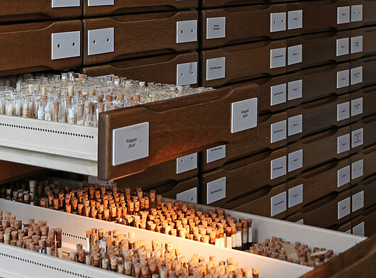 Blick in die Sammlung