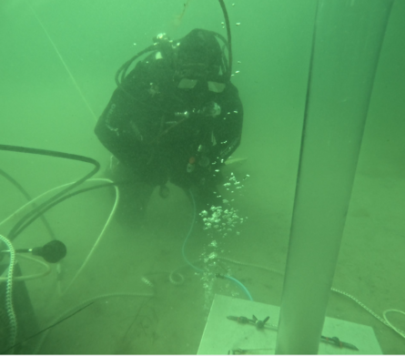 Taucherin bei der Probennahme unter Wasser