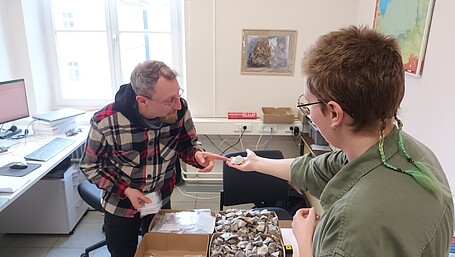 [Translate to Englisch:] 