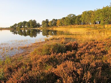 Wollingster See