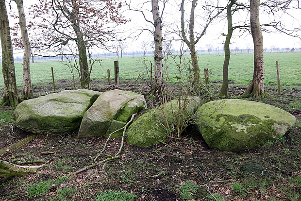 Am Feldrand liegende Steine, Reste eines Großsteingabs.